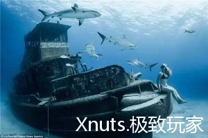 她让我们以为人类已进化出海底生存模式