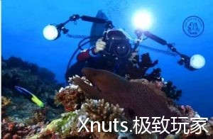 为了保护海洋，这个渔民的孩子成为了水下摄影师